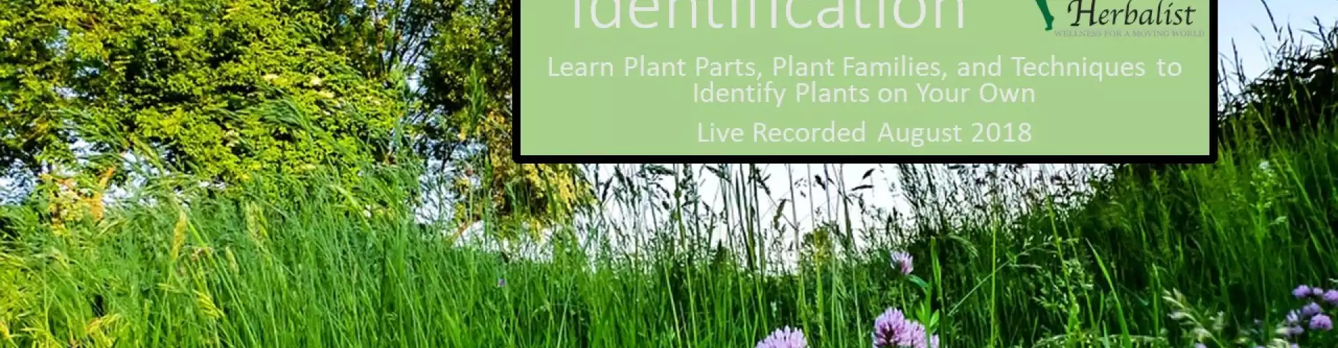 Plant Identification (HHSP)