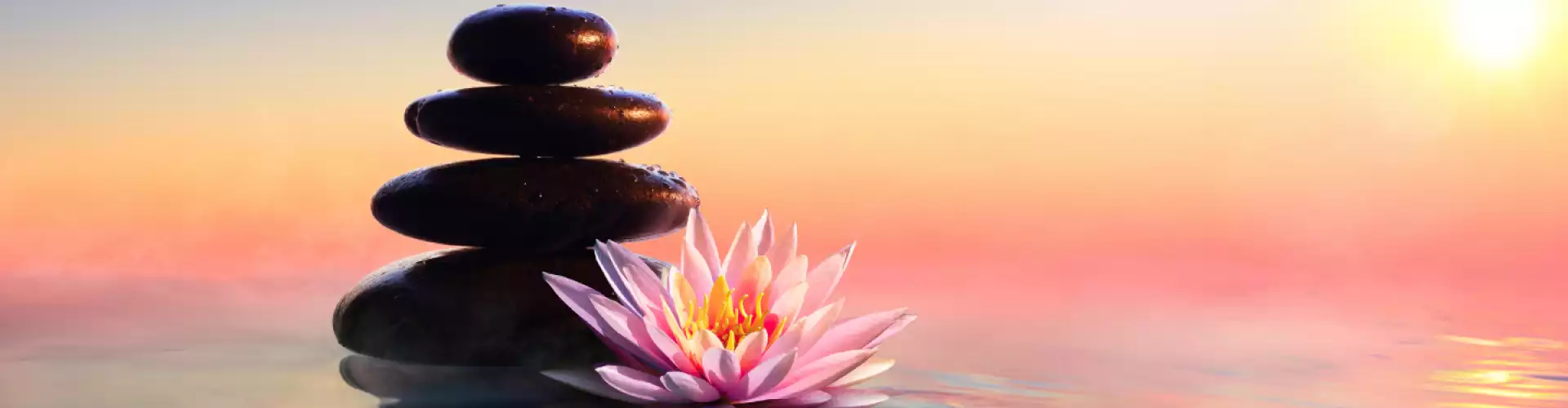 Guided Meditations and Healing Practices for a Successful September 2022